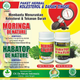 Illustration for article titled Obat Alami Buat Tekanan Darah Tinggiem/em